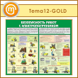      (TM-12-GOLD)